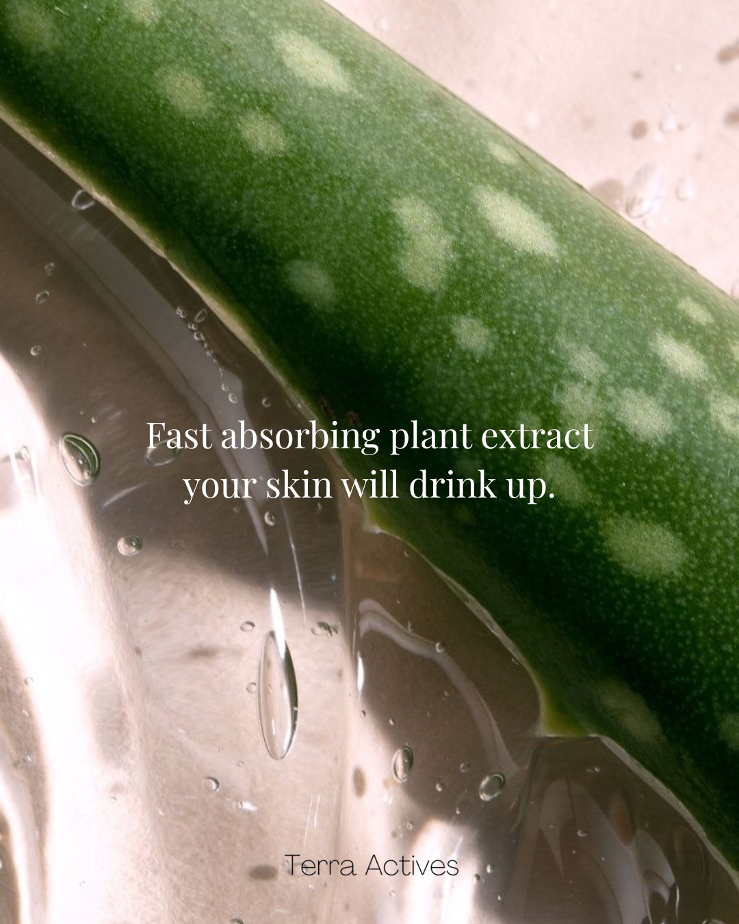 Aloevera Healing Plant Gel