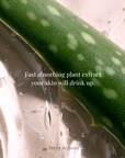 Aloevera Healing Plant Gel