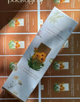Calendula Cleanse